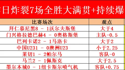 波罗的海三国接入欧洲电网：专家深度剖析其重要性